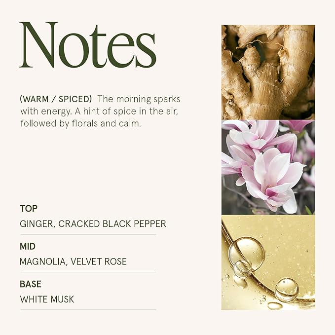 LA JOLIE MUSE Ginger & White Musk Candles | Ginger, Lemongrass & Musk | 6 oz Soy Candle | Natural Soy Wax | 40 Hours Clean Burn | Gift-Ready for Hosts & Gathering | Seasonal Home Décor