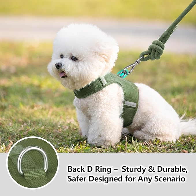 Dog Harness for Puppy – Adjustable Reflective Easy Put On Soft Mesh Vest for Small Dogs with 2 Patches (Misty Green,XXS)
