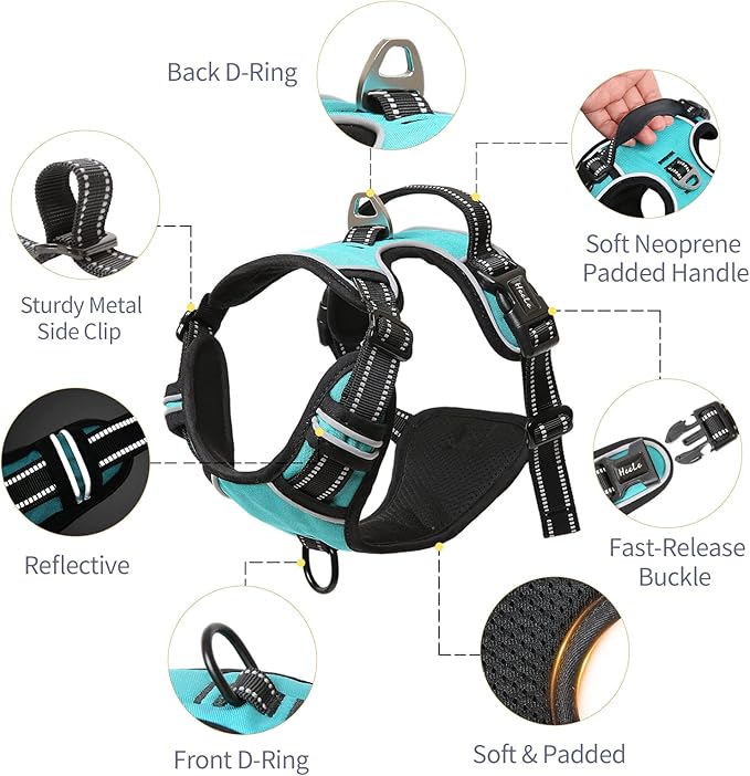 HEELE Dog Harness, No Pull Adjustable Padded Reflective Harness for Small Medium Large Dogs with Handle for Walking Training,Turquoise, M