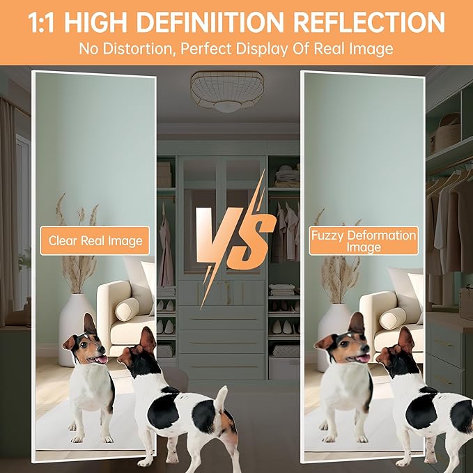 Hasipu Door Mirror Full Length, 56 x 16 Inch Full Body Wall Mirror Over The Door Hanging Mirror for Bedroom, Living Room, Cloakroom