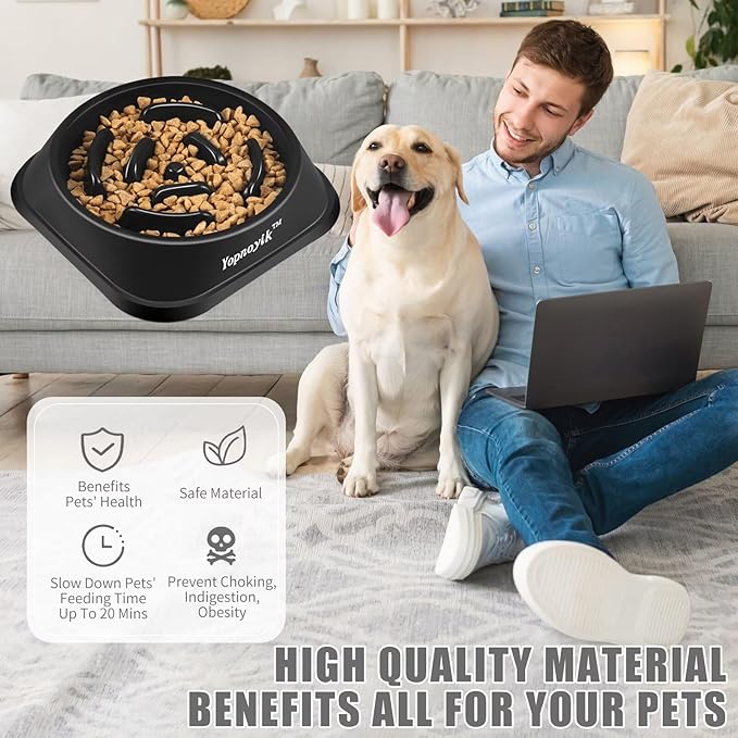 Slow Feeder Dog Bowls for Healthy Eating, Non-Slip and Anti-Choking Design, Reduces Bloating & Overeating for Large Dogs, Easy to Clean