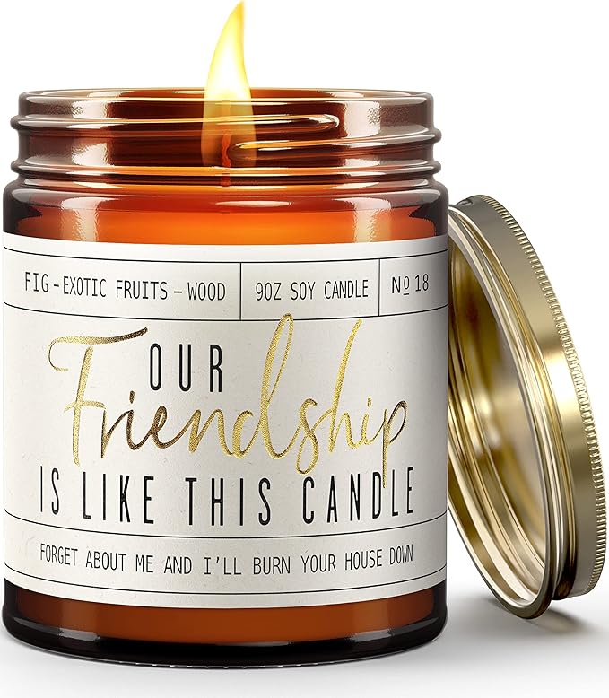 Soy and Sass 'Our Friendship is like this Candle' - Mediterranean Fig, Red Currant, Amber, Sandalwood Jar Candle