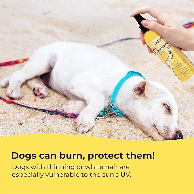 Gentle Creatures Dog Sunscreen - SPF 30+ With Skin Moisturizing Vitamin E and Olive Oil - No Zinc Oxide Safe for All Dogs and Cats - Dog Beach Accessories, Dog Camping Gear, Sunscreen for White Dogs
