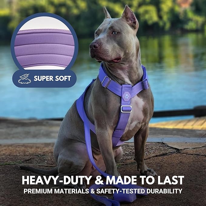 Spark Paws No Pull Dog Harness for Large Dogs, Heavy Duty Dog Harness for Big Strong Breeds, Adjustable, Y Shaped Padded Halter Design with Front Clip - Purple - Small