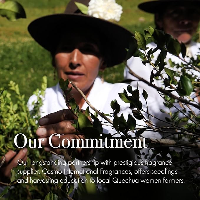 LAFCO New York Signature Candle, Andean Myrtle - 15.5 oz - 90-Hour Burn Time - Reusable, Hand Blown Glass Vessel - Made in The USA