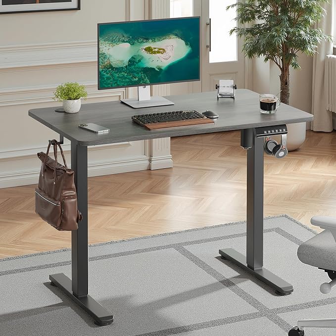 Casaphoria 40 x 24 inches Inch Electric Standing Desk, Sit to Stand Desk with Memory Height Adjustment, Home Office Computer Desk for Writing and Games, Grey