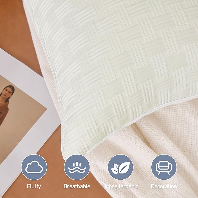 Leeden 22x22 Pillow Inserts Set of 2-22 Inch Decorative Throw Pillow Insert, Soft Fluffy Square Throw Pillows for Couch Bed, Beige Couch Pillow Insert Pair