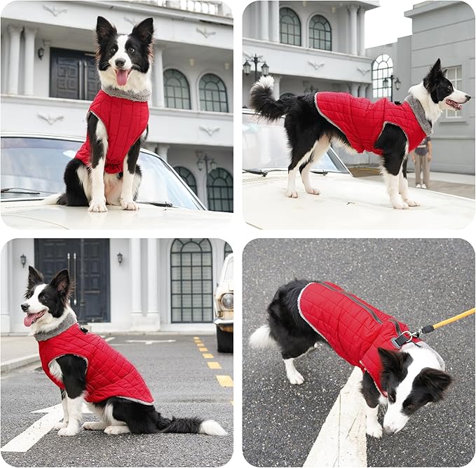 Warm Fleece Dog Coats with Durable Harness Buitl in D-Ring,Waterproof Puppy Jacket for Small Dogs,Dog Vest for Cold Winter,Red XS