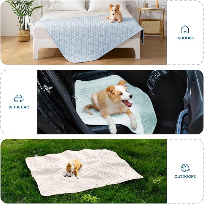 Soulbond Cooling Mat for Large Dogs - 25"x35" Washable Cooling Pad for Dogs & Cats, QMAX>0.3, Anti-Slip Bottom, Portable Summer Cool Pet Bed Pad for Outdoor/Indoor/Cars/Travel Use, Aqua Green