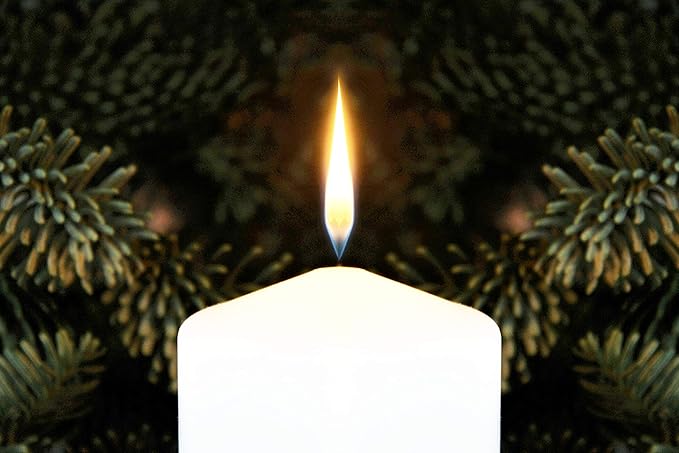 D'light Online 3 X 8 Inch Pillar Candles Set of 12 Bulk Event Pack Round Unscented Premium Wax Pillar Candles for Wedding, Spa, Party, Birthday, Holiday, Bath and Home Decor (3X8, White)