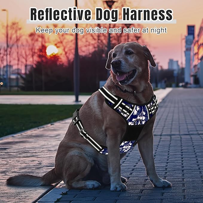 Rnivvi No Pull Dog Harness, Cute Flower Reflective Medium Sized Puppy Harness, Adjustable Soft Padded Vest for Medium Dogs, Heavy Duty Pet Vest with Easy Control Handle for Walking, Blue White