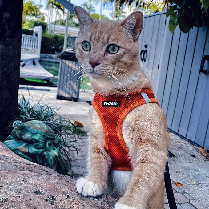 Best Pet Supplies Voyager Step-in Air Harness - All Weather Mesh, Reflective, No Pull Harness for Dogs, Cats - Secure with Hook & Loop Fastener, Buckle, Double D-Rings - Orange, XL