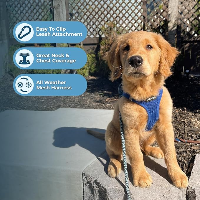 Best Pet Supplies Voyager Step-in Air Harness - All Weather Mesh, Reflective, No Pull Harness for Dogs, Cats - Secure with Hook & Loop Fastener, Buckle, Double D-Rings - Royal Blue, S
