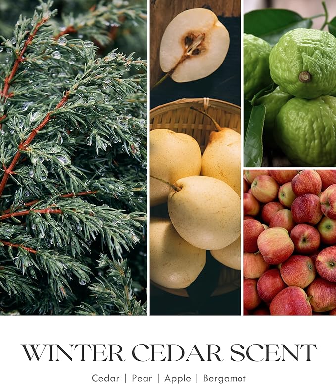 AOOVOO Cedar Scented Candles for Women - Aromatherapy Candle with Crystals Inside, 10oz Soy Candles for Home Scented, Birthday Gifts Christmas Candle for Women Mom