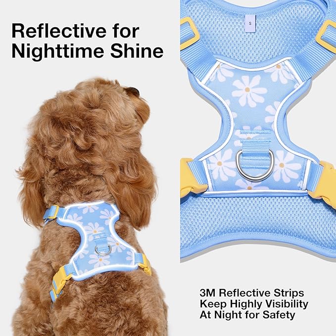 VETRESKA Dog Harness Small Sized Dog, Adjustable Reflective No Choke Puppy Harness No Pull, Easy Control Pet Harness Vest for Dogs, Cat, Kitten, Dog Harness with Anti-Tangle Dog Leash Set, Daisy XXS