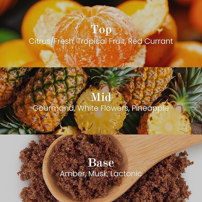 M&SENSE Natural Soy Candle| Sparkling Fruit Drops | 5.3 oz | Minimalist Christmas Scented Candle for Relaxation, Gifting, Home Décor | for Bedroom, Office, Party Small