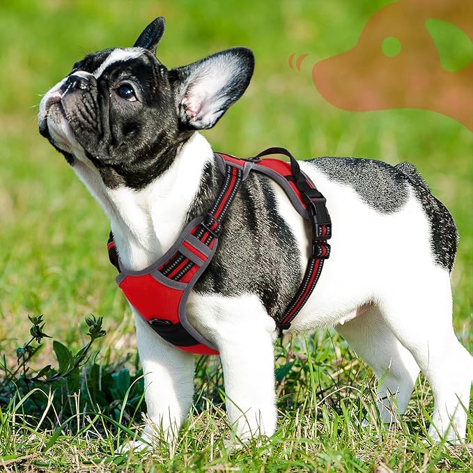 Eagloo Dog Harness for Small Dogs, No Pull Adjustable Service Vest with Control Handle，Red, S