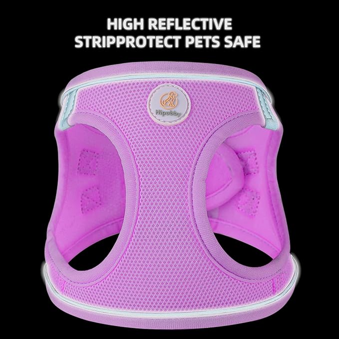 Dog Harness and Leash Set, No Pull Soft Mesh Puppy Harness for Small Medium Dogs, Cats - Step in Reflective Breathable Lightweight Vest Harness for Walking, Training - Purple, M