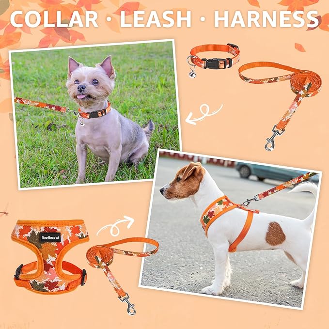 SCENEREAL Fall Dog Harness Collar and Leash Set for Small Dogs, Orange Leaf No Pull Dog Harnesses, Adjustable Step in Pet Vest for Doggie Puppy Cats Walking Outdoor, Chihuahua Yorkie Harness S