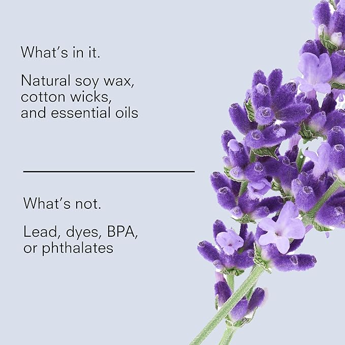 Public Goods Scented Soy Candle for Women & Men | Large 3 Wick Glass Candle | Long Lasting & Non Toxic | Made with Natural Soy Wax & Organic Essential Oils | Gift Box | 12.3oz Jar | Lavender & Vanilla