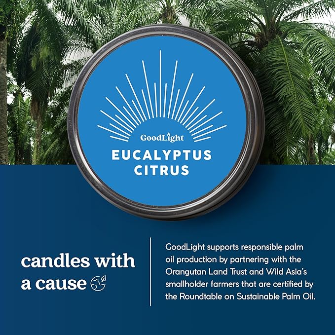 GoodLight Paraffin-Free Scented Candle, Clean Burning Non-Toxic Tin Candles, Eucalyptus Essential Oil Scented Travel Candle 6oz