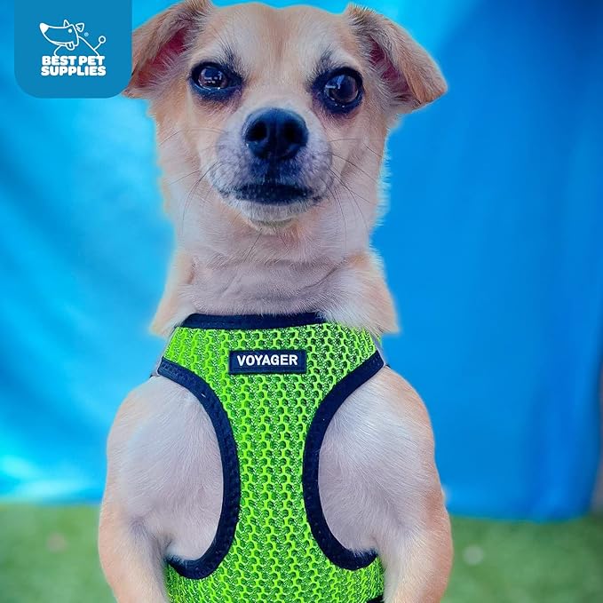 Best Pet Supplies Voyager Step-in Air Harness - All Weather Mesh, Reflective, No Pull Harness for Dogs, Cats - Secure with Hook & Loop Fastener, Buckle, Double D-Rings - Tone, S