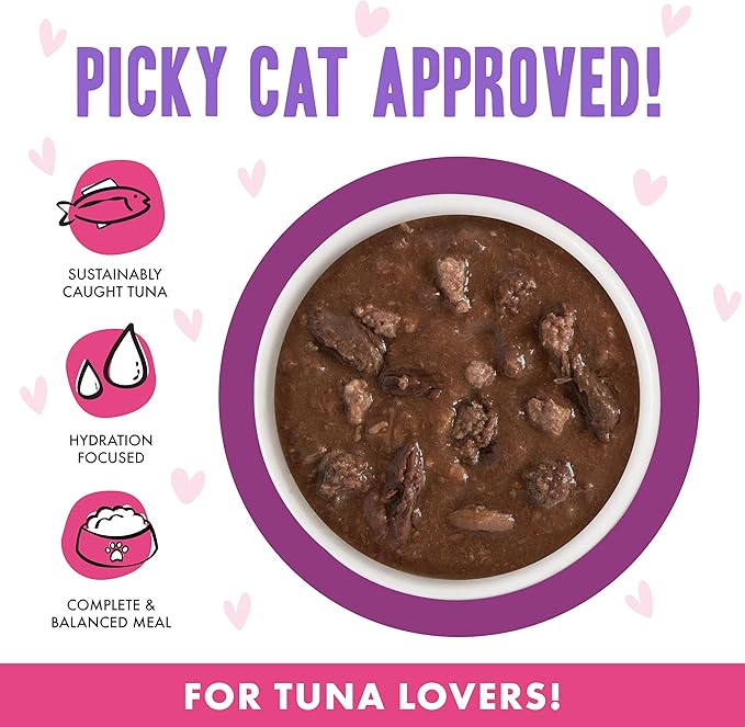 B.F.F. OMG - Best Feline Friend Oh My Gravy!, Tuna & Beef Belly Rubs with Tuna & Beef, 2.8oz Can (Pack of 12)