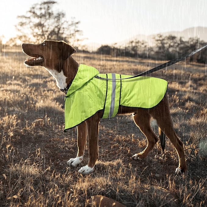 Dog Raincoat - Waterproof Reflective Dog Rain Jacket, Adjustable Hooded Doggy Rain Coats with Leash Hole, Lightweight Pet Slicker Poncho (XX-Large, Green)