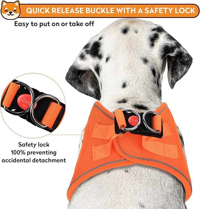 Dog Harness with Leash Set, No-Pull Step-in Reflective Pet Harness with 1 Leash Clips, Adjustable Soft Padded Easy Walk Dog Vest for Small Medium Large Dogs, Cats(Bright Orange, Large)