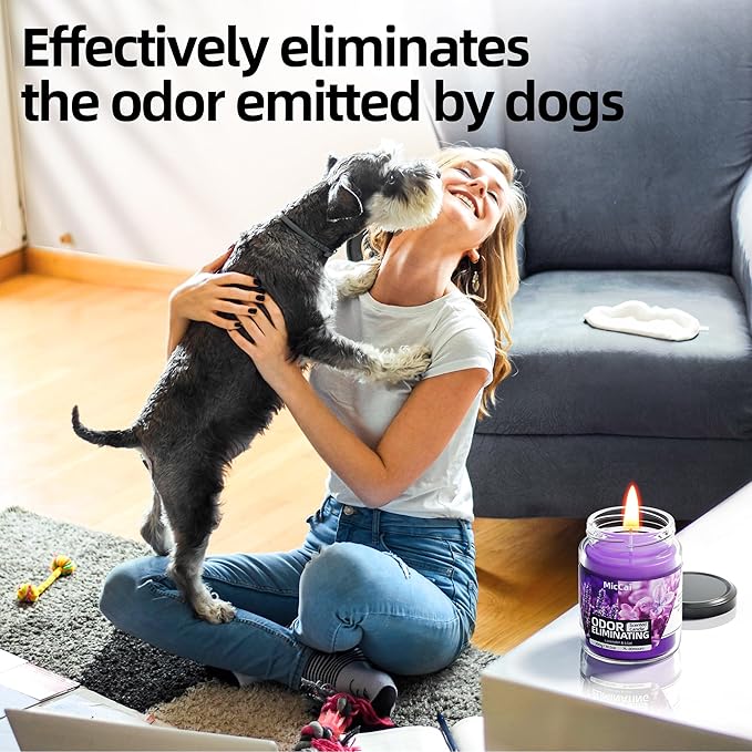 Lavender & Lilac Blossom Odor Eliminating Candles for Home Scented, Eliminates 99% of Pet, Smoke, Food and Other Smells Quickly, Highly Scented Candle, Premium Soy Candles Set for Women
