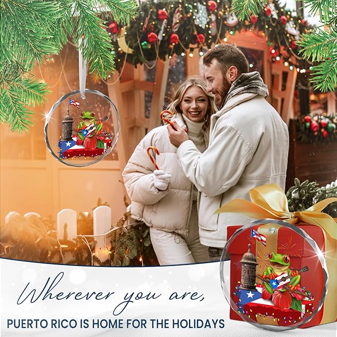 FLAGWIX Christmas Puerto Rico Gifts for Women Men - Coqui Frog Glass Ornaments 2025 for Tree Decorations - Puerto Rico Christmas Ornament for Home Decor Indoor, Gifts for Mom Dad, Friend Gift Ideas