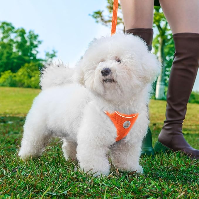 Dog Harness and Leash Set, No Pull Soft Mesh Puppy Harness for Small Medium Dogs, Cats - Step in Reflective Breathable Lightweight Vest Harness for Walking, Training - Orange, M