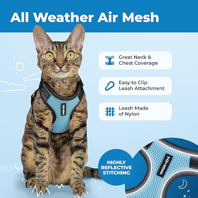 Voyager Escape Proof Cat Harness and Leash Set with Reflective Stitching, Neoprene Handle 5ft - Supports Small, Medium and Large Cats, Kittens for Walking by Best Pet Supplies - BT-Baby Blue, S