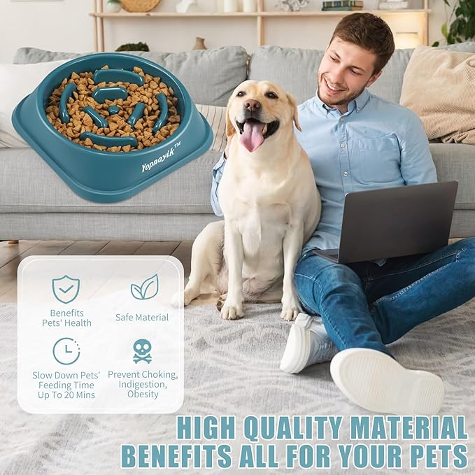 Slow Feeder Dog Bowls for Healthy Eating, Non-Slip and Anti-Choking Design, Reduces Bloating & Overeating for Medium Dogs and Cats, Easy to Clean