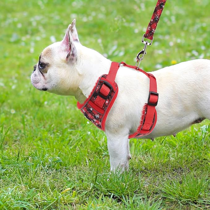 PUPTECK Small Dog Harness and Leash Set, No Pull Adjustable Puppy Cat Harness, Reflective Soft Mesh Pet Vest Small Sized, Plaid Christmas Red M