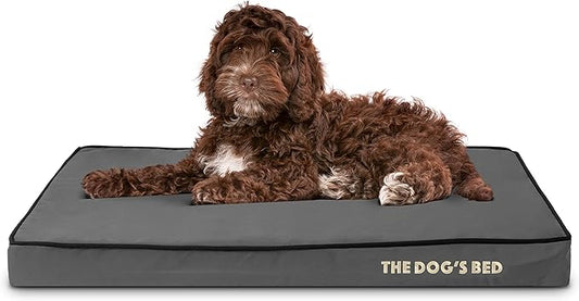 The Dog’s Bed Orthopedic Memory Foam Dog Bed, Medium Grey & Black 34x22, Waterproof, Supportive Dog Bed with Replaceable Covers, Veterinary Approved