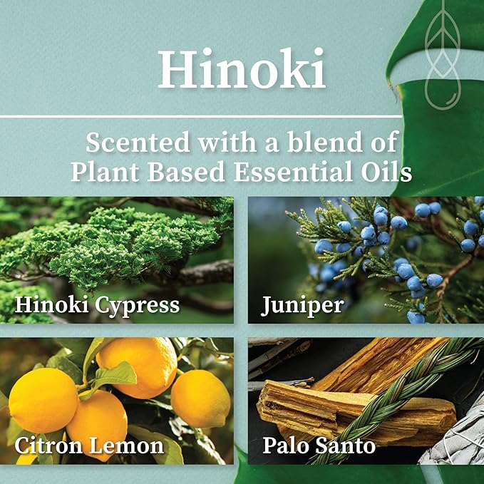 Hemlock Park Amber & Gold Wood Wick Candle Handcrafted with Natural Coconut Wax (Standard 7.2 oz, Hinoki)