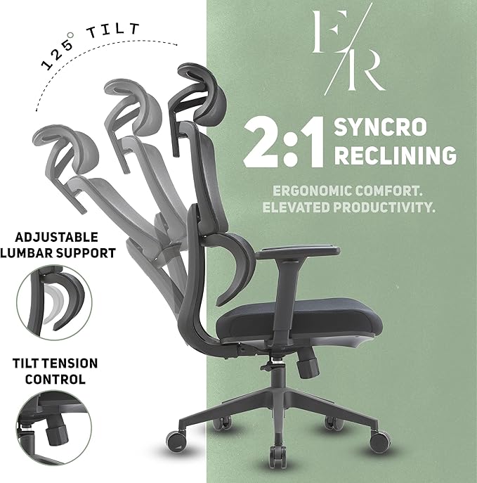 Premium Mesh Executive Home Office Desk Chair, with Ergonomic Lumbar, Black