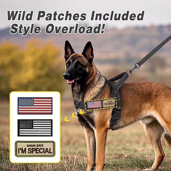 Forestpaw No Pull Dog Harness with Flannel Lining, Reflective Escape Proof Vest for Large Dogs, Quick Release Comfortable for Walking Training (Includes Patches),Black L