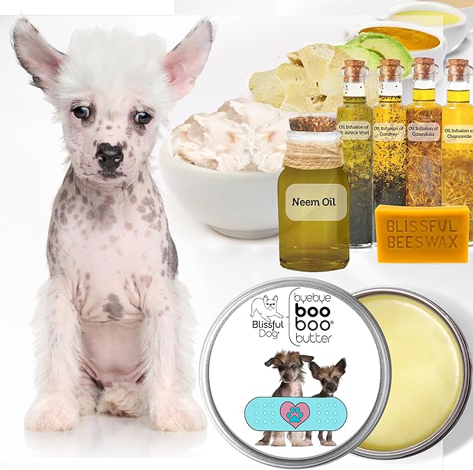 The Blissful Dog Chinese Crested Boo Boo Butter, 16 oz.