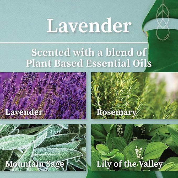 Hemlock Park Amber & Gold Wood Wick Candle Handcrafted with Natural Coconut Wax (Standard 7.2 oz, Lavender)