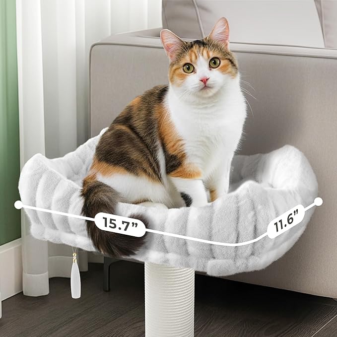 Modern Scratching Post for Indoor Cats - 15” High Cat Scratching Post with Bed Breeds - 15.7” x 11.6” Removable & Washable Cushion (Natural Wood Post with White Bed)