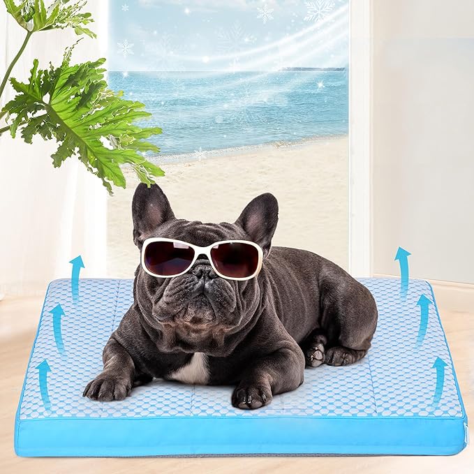 Cooling Dog Bed for Medium Dogs - Orthopedic Pet Beds with Memory Foam, QMAX>0.5, Waterproof Removable Washable Cover for Hot Weather, Blue, 30" L x 20" W x 3" H