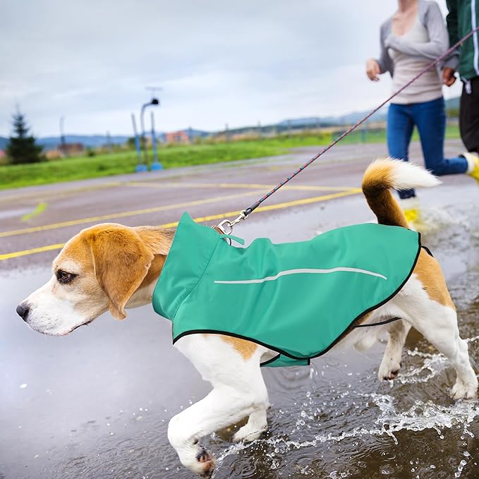 Mile High Life Dog Raincoat, Adjustable Waterproof Reflective Rain Jacket for Small Medium Large Dogs, Lightweight Breathable Pet Rain Coat with Leash Hole(Green,M Chest 26-32")