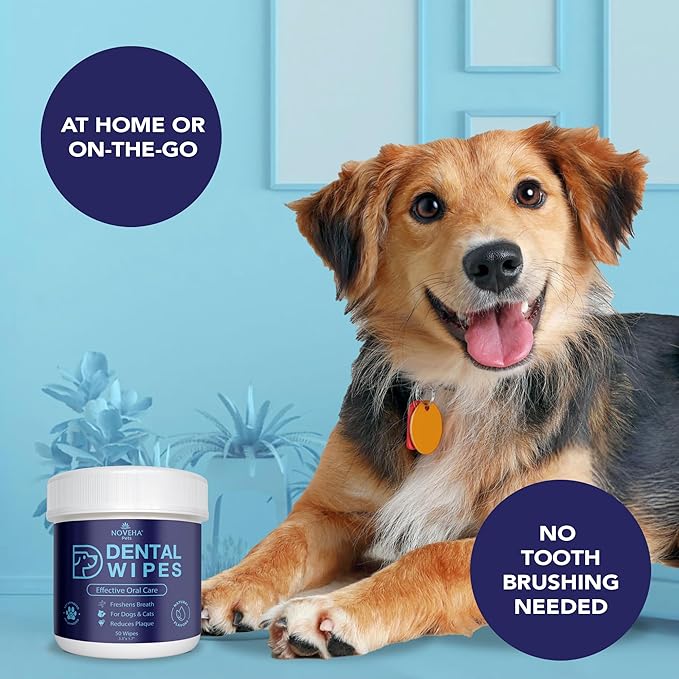 NOVEHA 50PCs Pets Dental Finger Wipes for Dogs & Cats | Freshens Breath, Reduces Plaque | Healthier Gums | Clean Teeth No Toothbrush | Vet Recommended Effective Natural Oral Care | Flavor-Free
