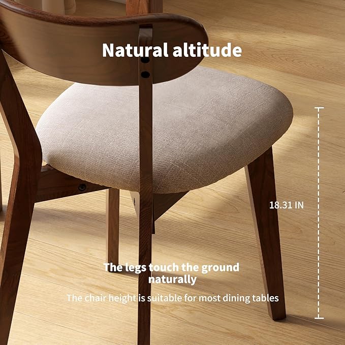 Walnut Dining Chairs Set of 2 - Comfortable Padded Seats,FAS-Grade North American Oak,Mid Century Modern Kitchen Chairs, Sturdy 400 lbs Capacity