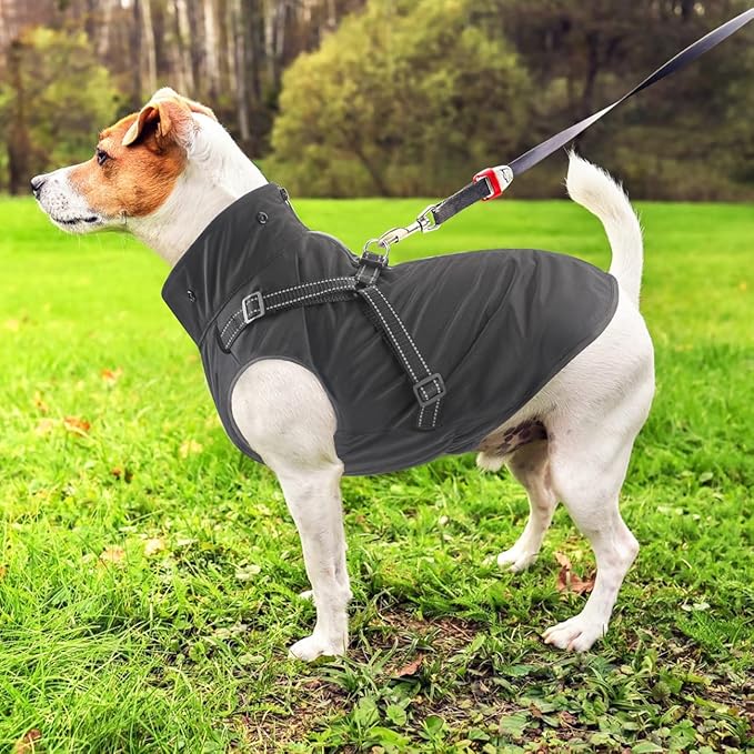 Mosucoirl Dog Raincoat Waterproof Dog Hoodie Reflective Dog Raincoat Hooded Adjustable Rain Jacket for Small Medium Large Dogs Puppies (Black, M)
