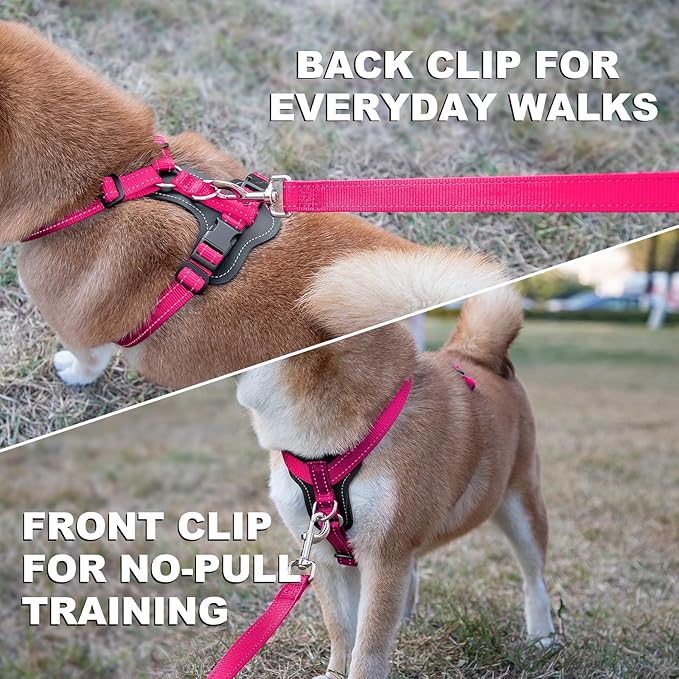 Plutus Pet Adjustable No Pull Dog Harness with Leather Accents, Heavy Duty Reflective Nylon Vest for Training, Hiking, Easy Walk Harness for Small, Medium, Large Dogs (Hot Pink, S)