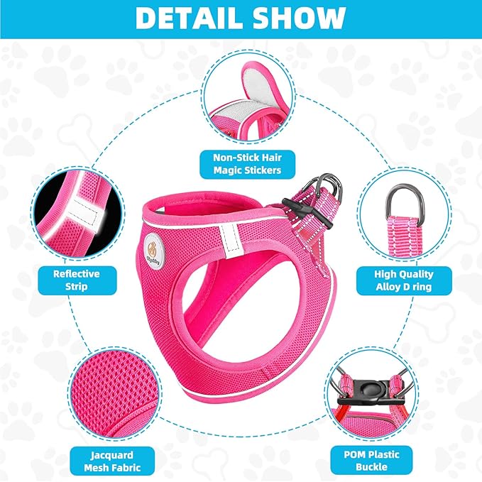 Dog Harness and Leash Set, No Pull Soft Mesh Puppy Harness for Small Medium Dogs, Cats - Step in Reflective Breathable Lightweight Vest Harness for Walking, Training - Rose Red, XXS