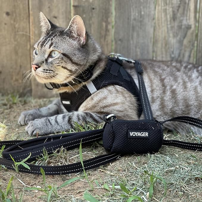 Best Pet Supplies Voyager Step-in Air Harness - All Weather Mesh, Reflective, No Pull Harness for Dogs, Cats - Secure with Hook & Loop Fastener, Buckle, Double D-Rings - Black, M